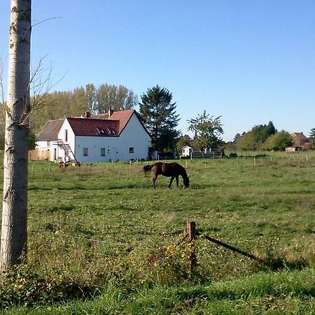 Ferme Lenfant Guest House Ville-Pommeroeul ภายนอก รูปภาพ