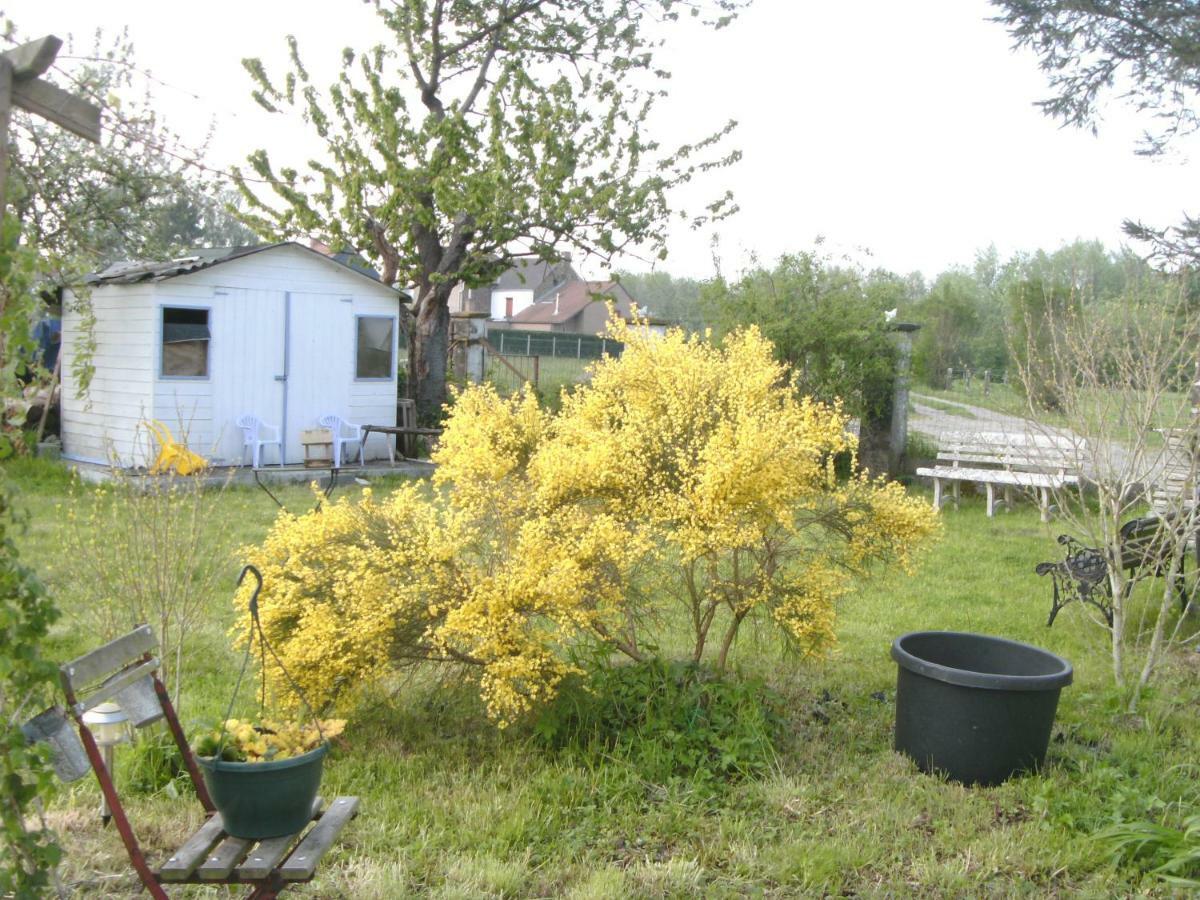 Ferme Lenfant Guest House Ville-Pommeroeul ภายนอก รูปภาพ