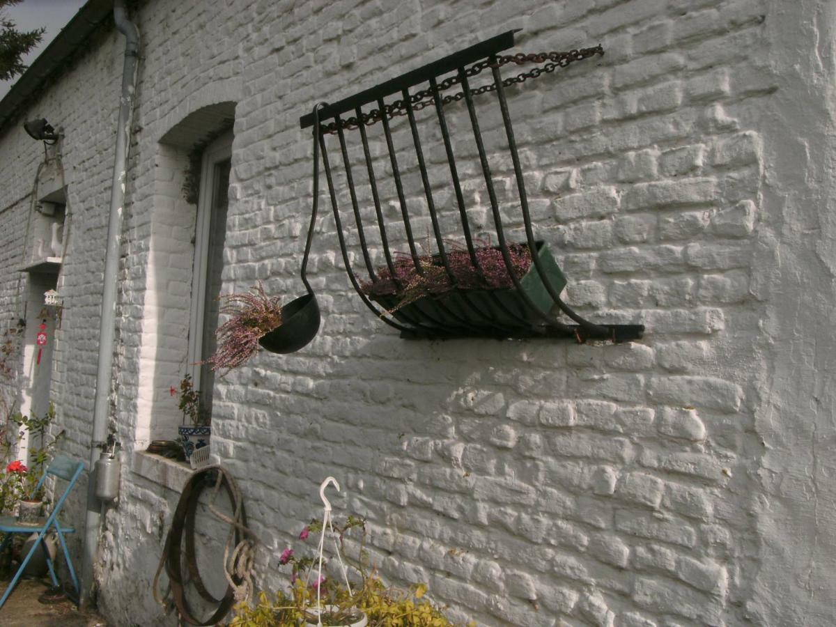 Ferme Lenfant Guest House Ville-Pommeroeul ภายนอก รูปภาพ